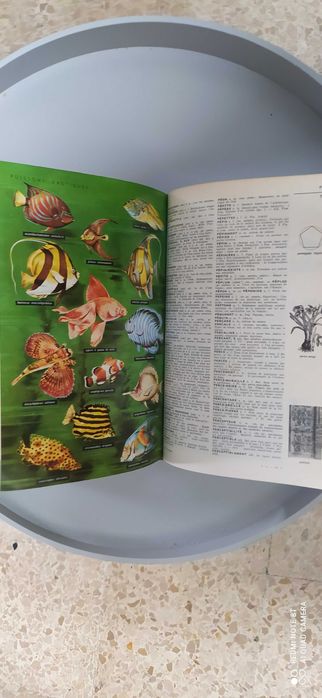 Dicionário de Francês Petit Larousse 1965