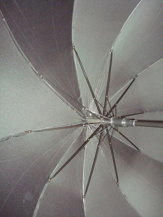 Большой зонт, трость (полуавтомат).