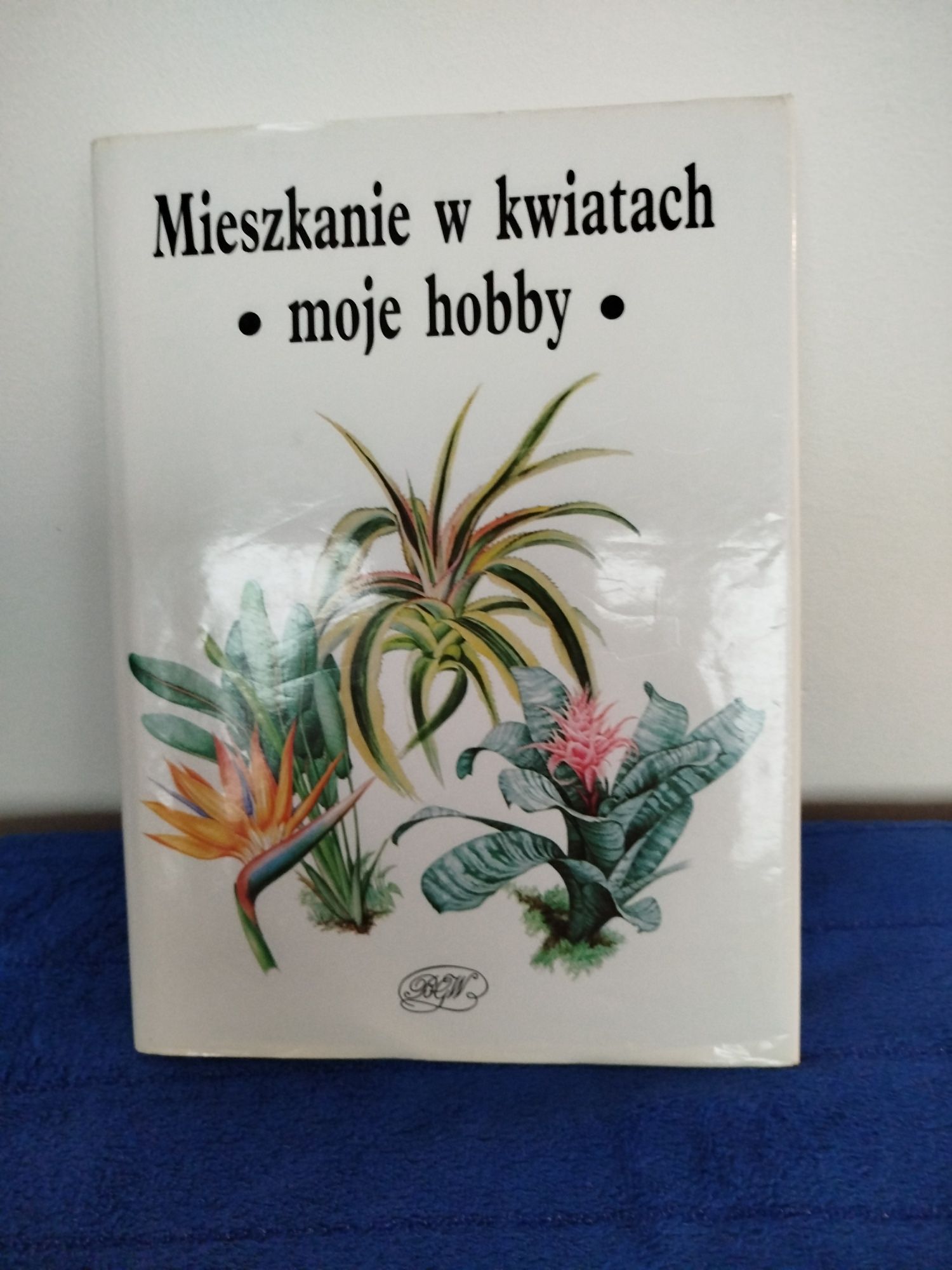 Książka Mieszkanie w kwiatach-moje hobby