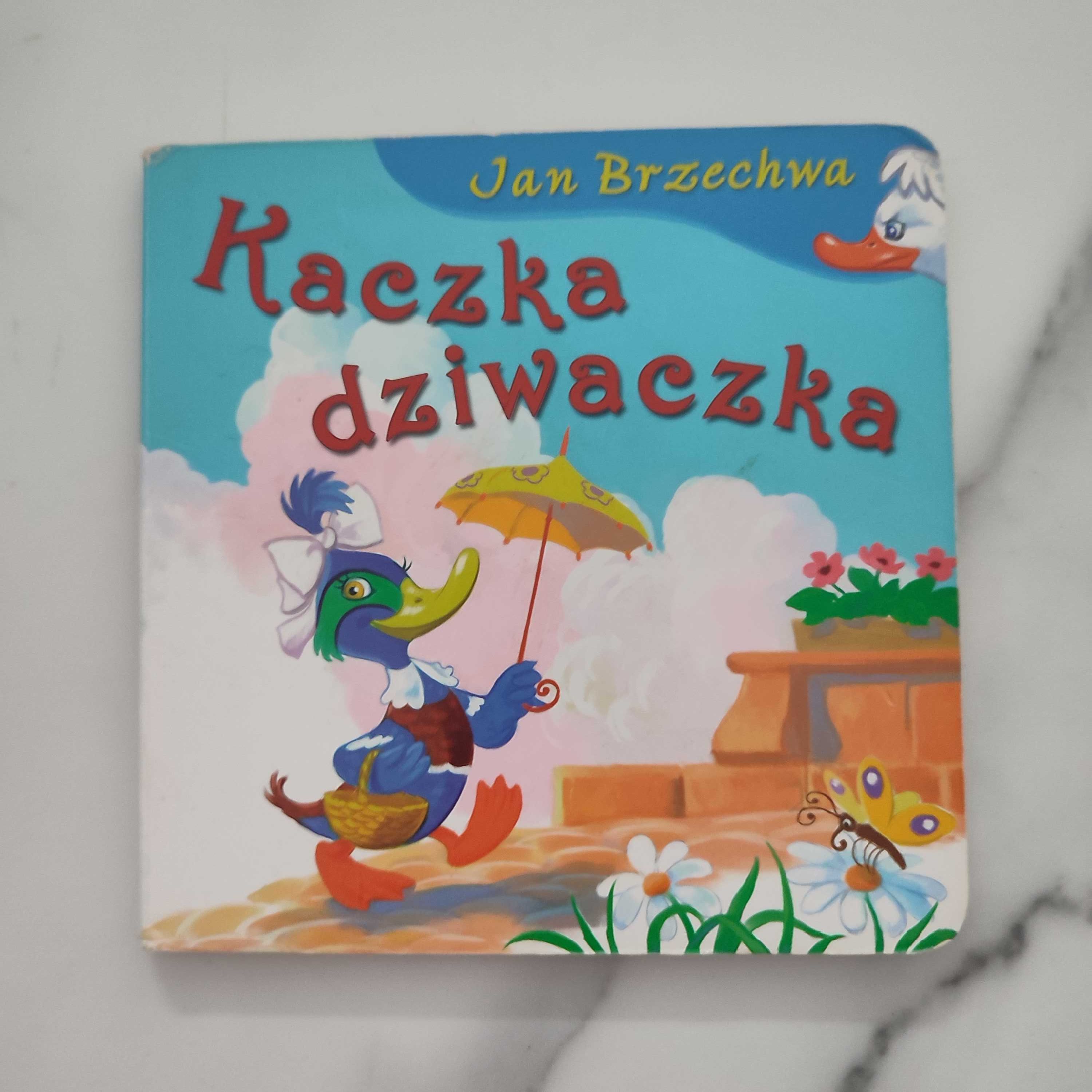 Kaczka dziwaczka książka