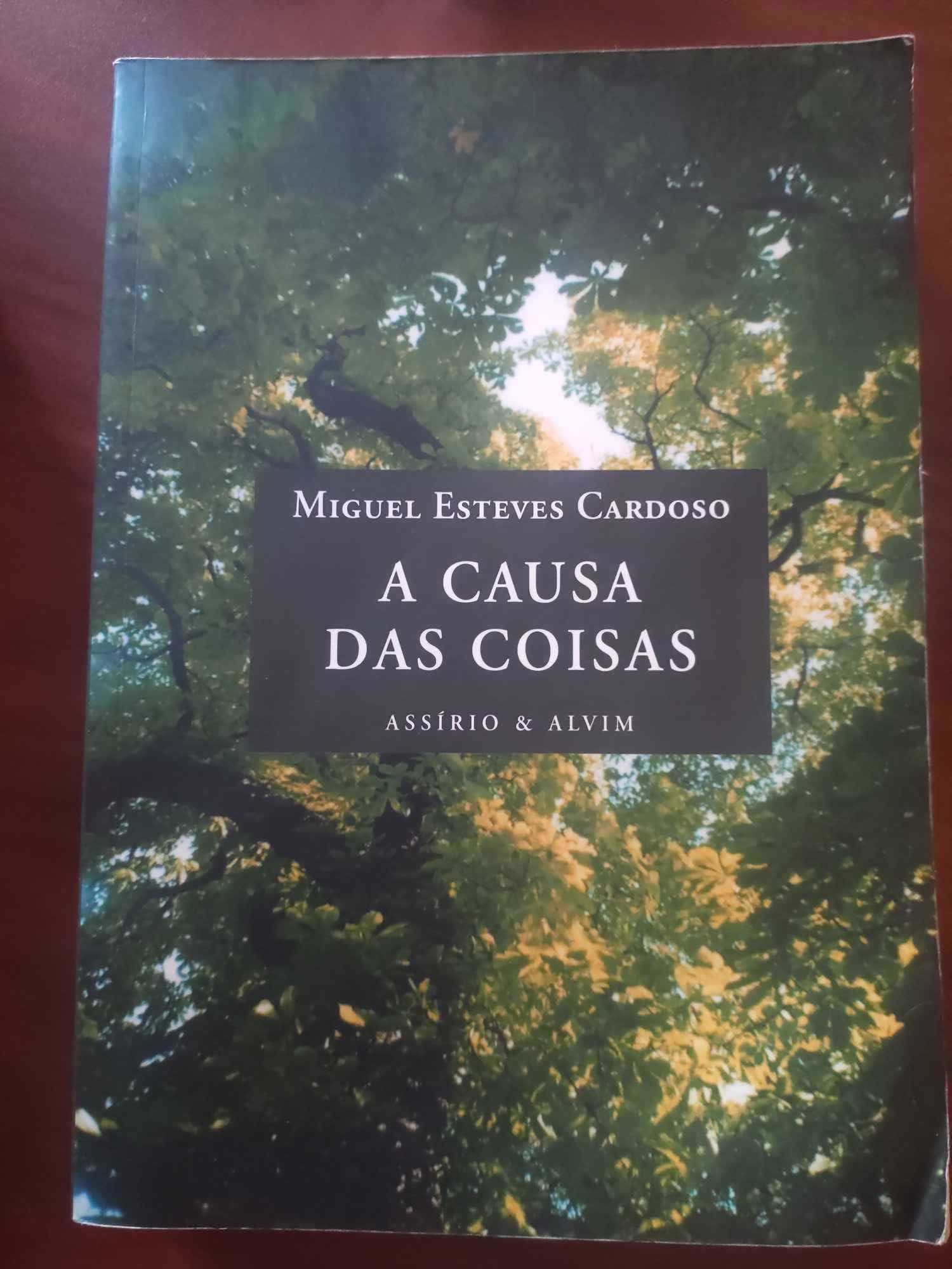 A Causa das Coisas de Miguel Esteves Cardoso