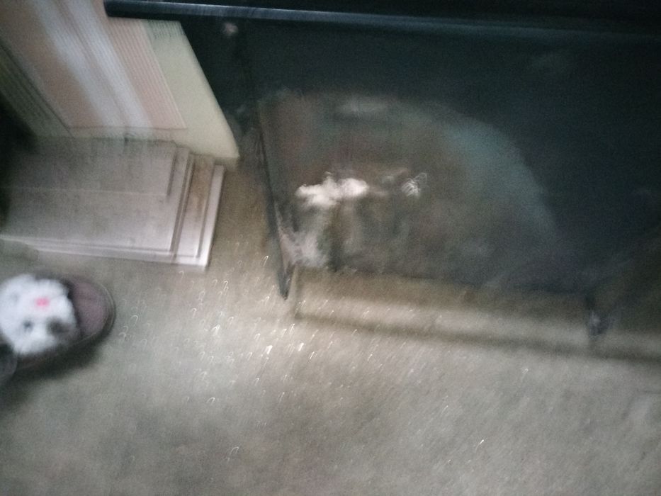 Vendo gavetas de cinzas de lareira e grelhas de lareira