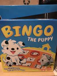 Bingo the puppy gra 3-5 lat