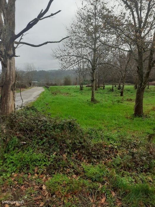 Oportunidade de Negócio | Terreno para Agricultura