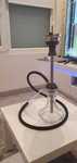 Shisha M.rosenfeld