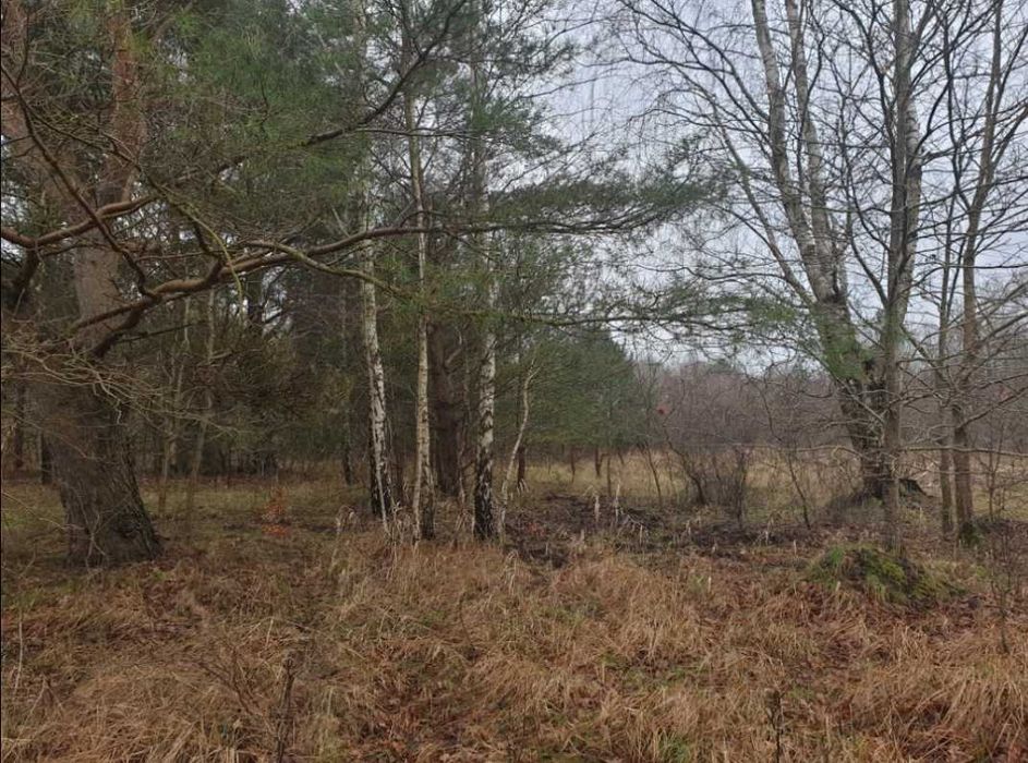 Działki budowlane NAD MORZEM Osada Leśna Ustka Słupsk