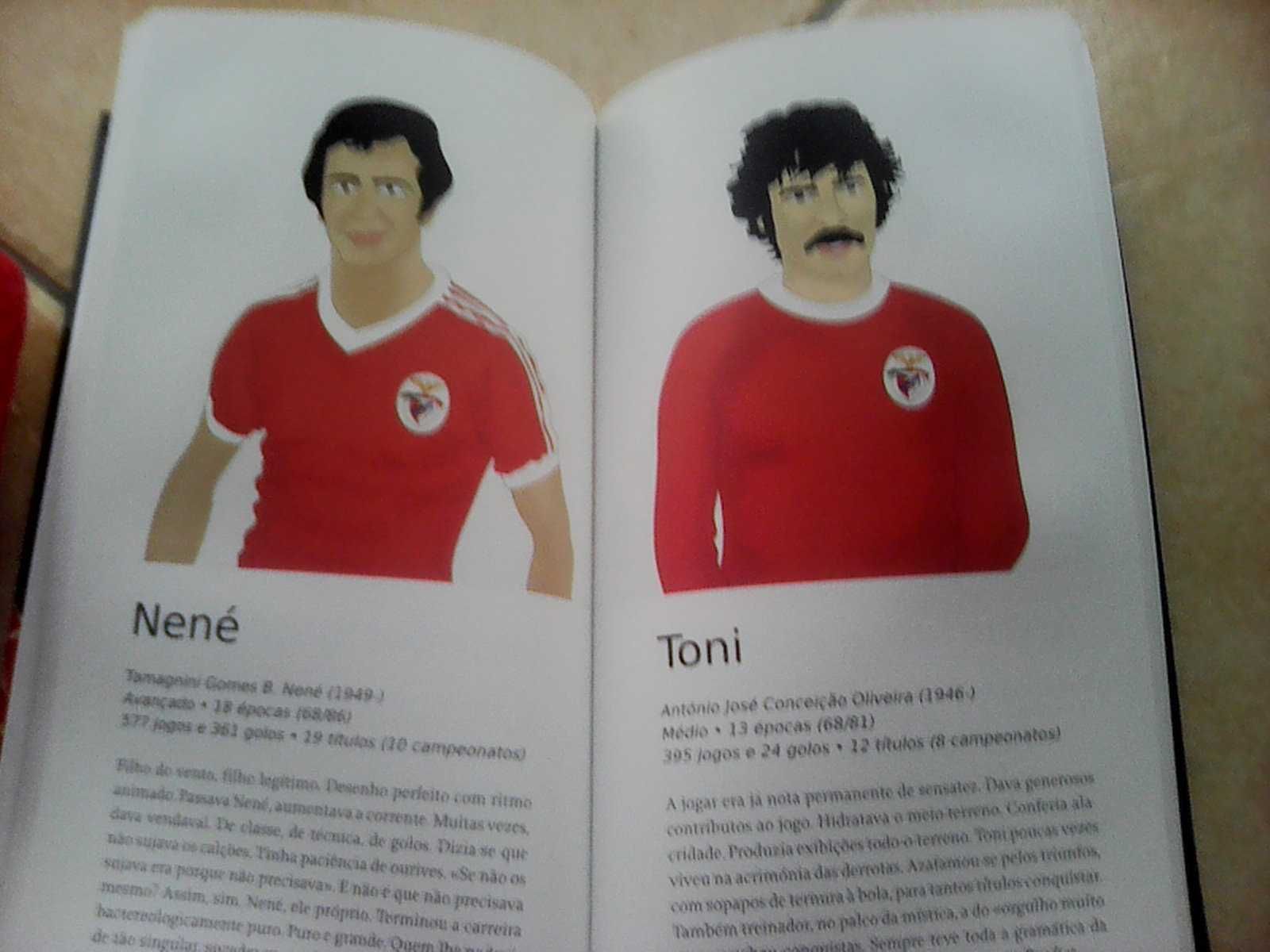 Livro "Benfica - No Desenho da História" + Almofada Benfica