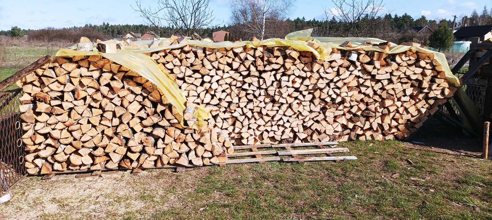 Drewno kominkowe brzoza 310