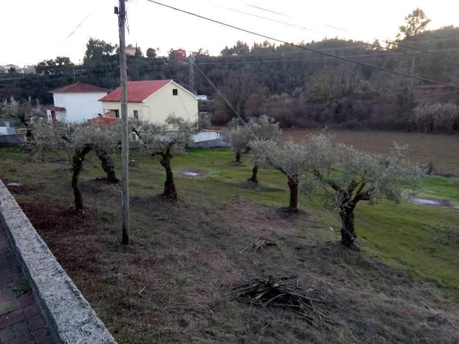 Limpeza lavoura de terrenos agrícolas/florestais e podas