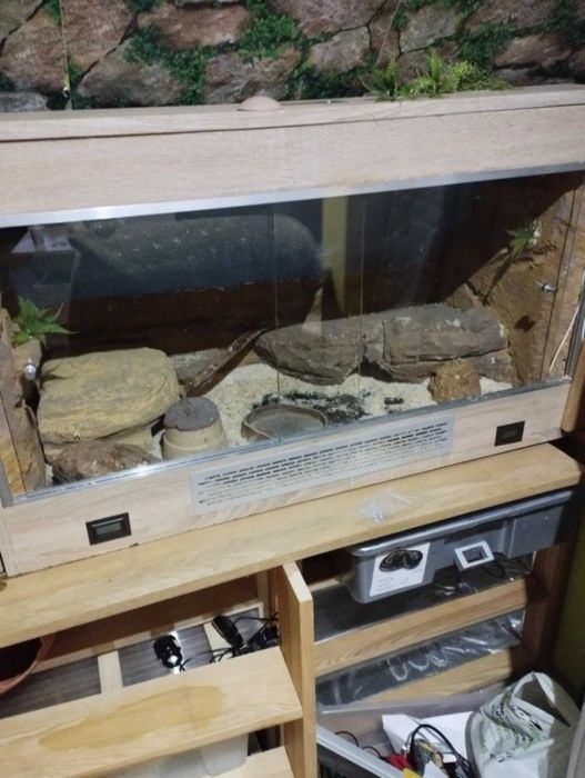 Dwa terraria na sprzedaż - przystosowane do skośnej ściany