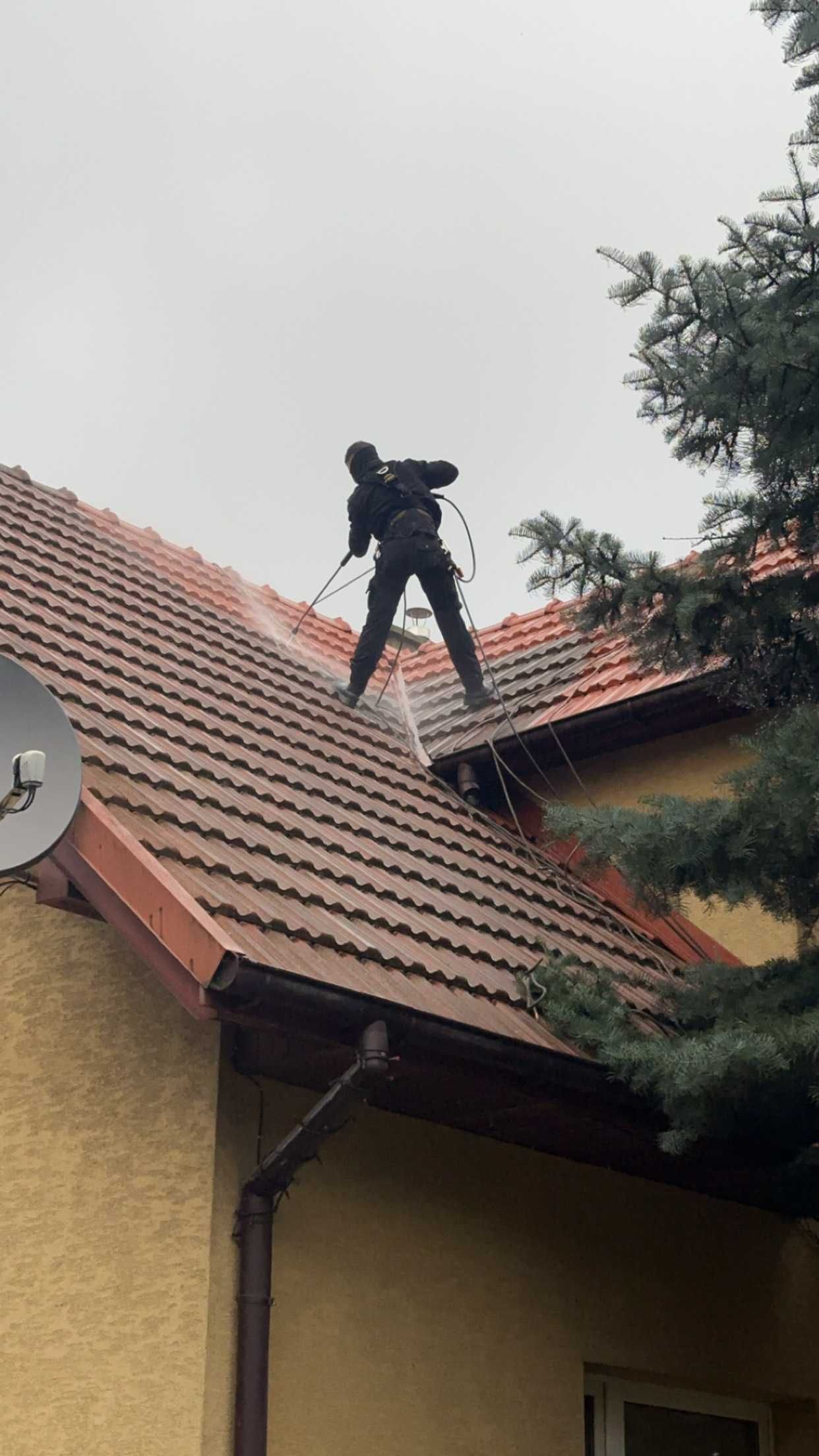 Mycie Impregnacja Malowanie Dachów i Elewacji