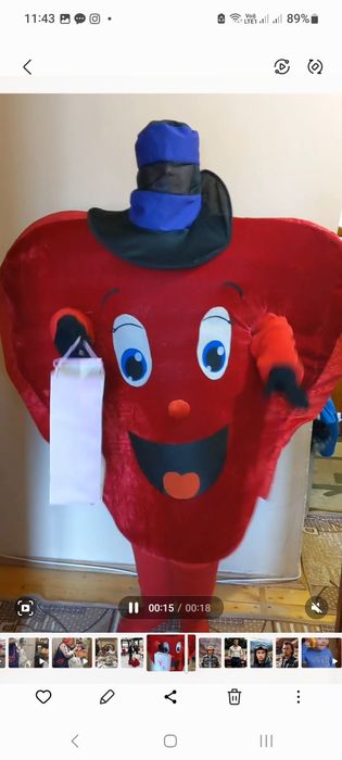 По зич аю костюм Панда.