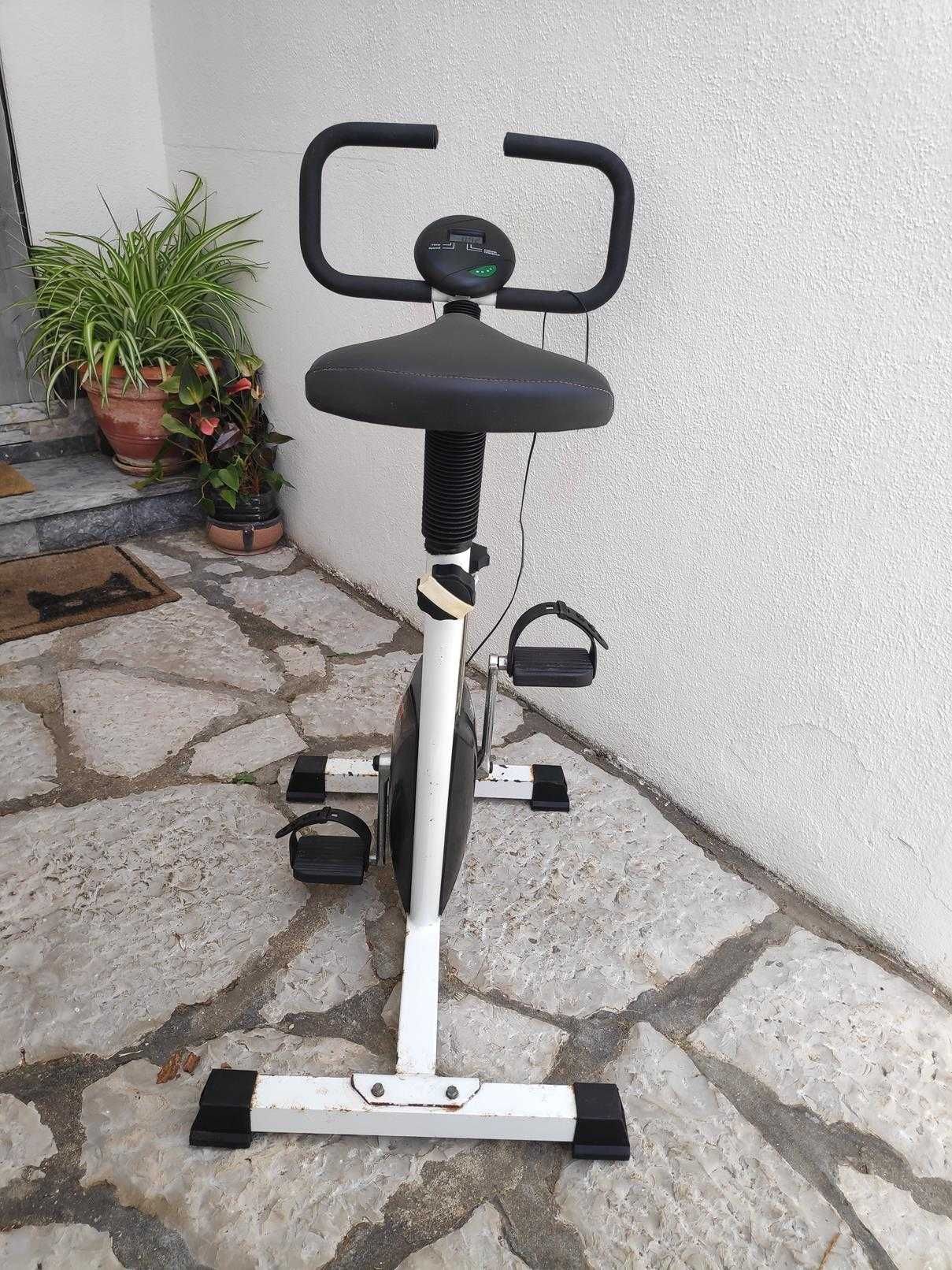 Bicicleta Estática ProMaster M27
