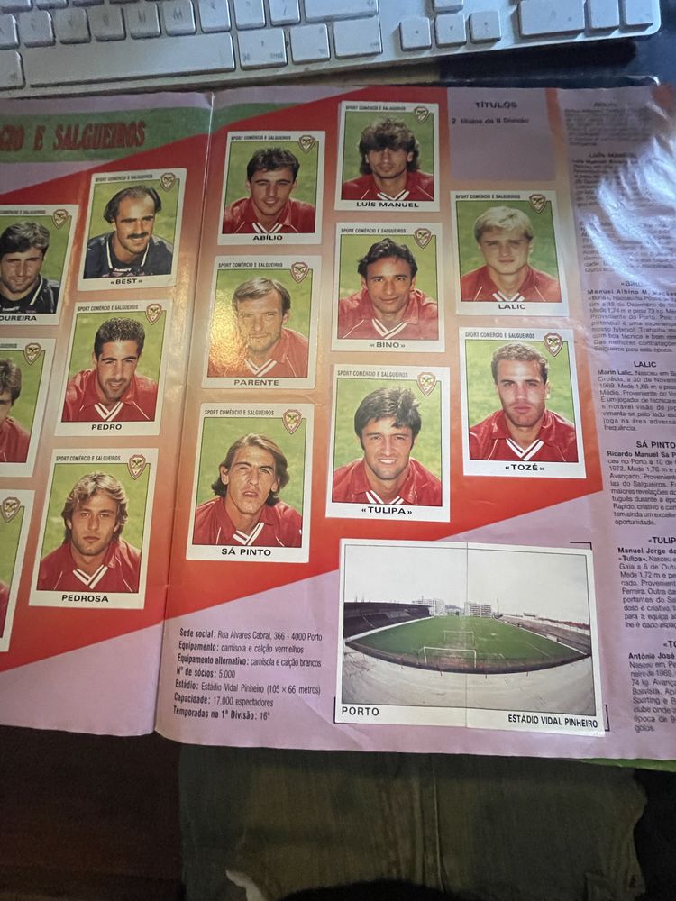 FUTEBOL 93-94 panini