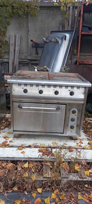 Продам професійну електричну плиту з духовкою.