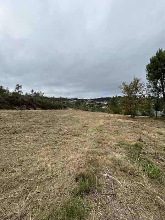 Vendo terreno agricola com 7995 m2