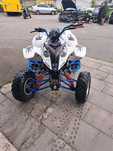 Palaris pridator 500