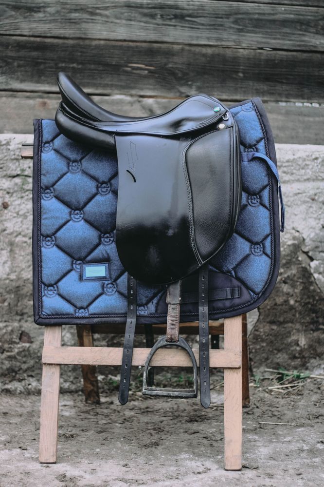 Prestige ROMA dressage 17