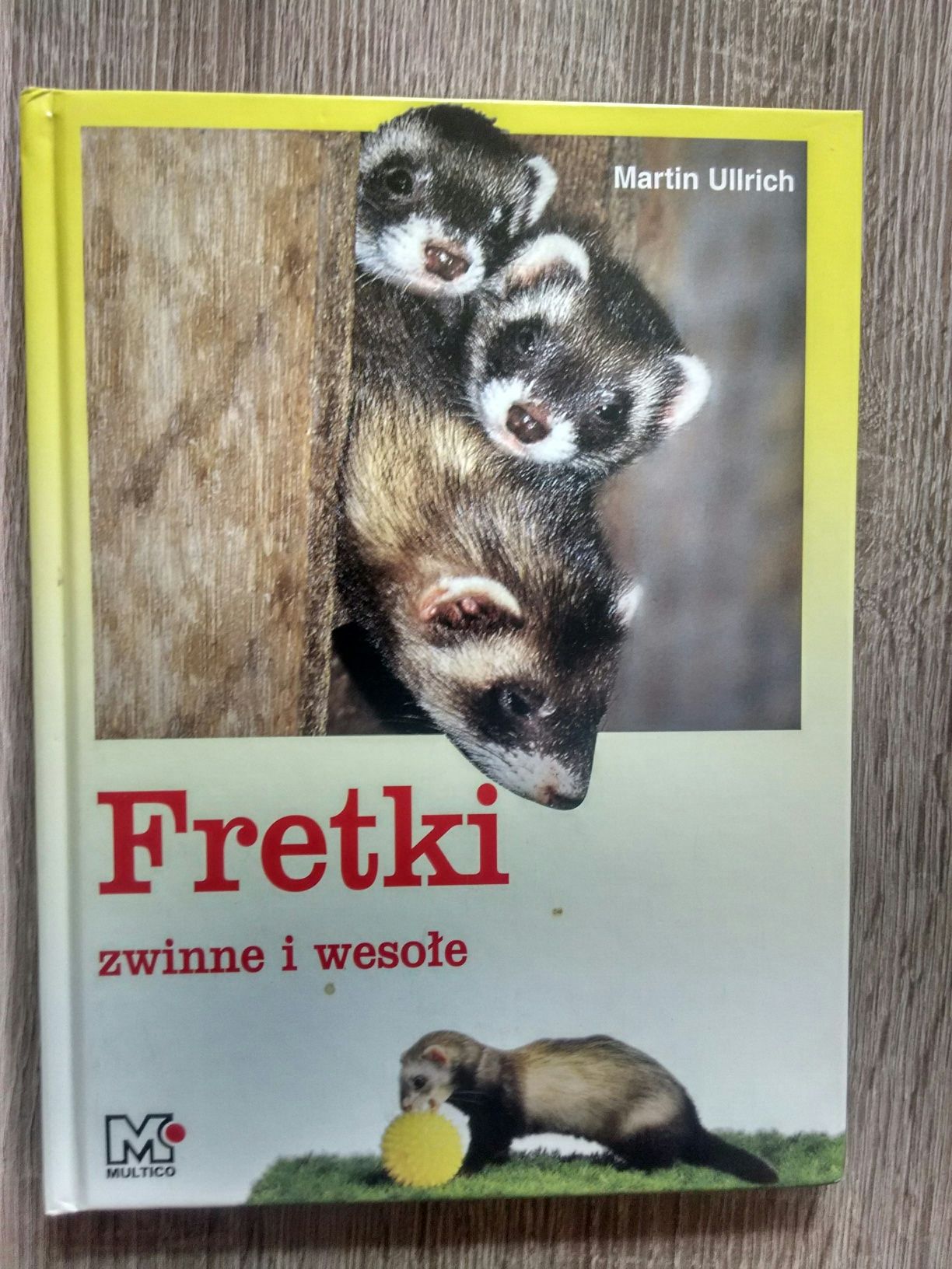 Książka FRETKI zwinne i wesołe - Martin Ullrich