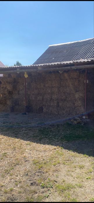 Солома свіжий врожай 2025 • Пшенична та вівсяна • с. Добросин