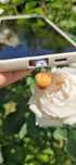 NOWY brelok wtyczka rękodzieło brzoskwinia do smartphone Iphone mini