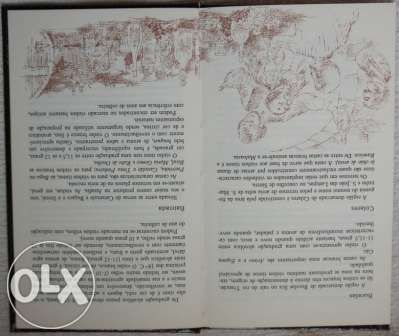 Livro "Vinhos E Queijos Portugueses" DE 1982