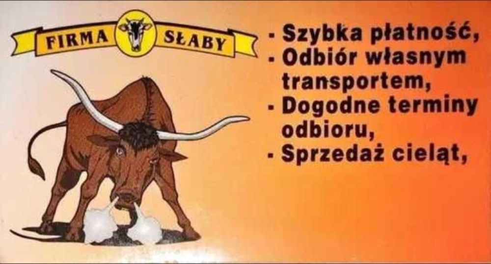 Skup bydła, byki mięsne, jałówki mięsne, krowy