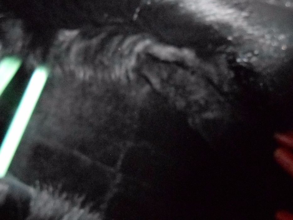 Натуральная дубленка