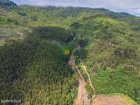 Terreno em Santo de Serra