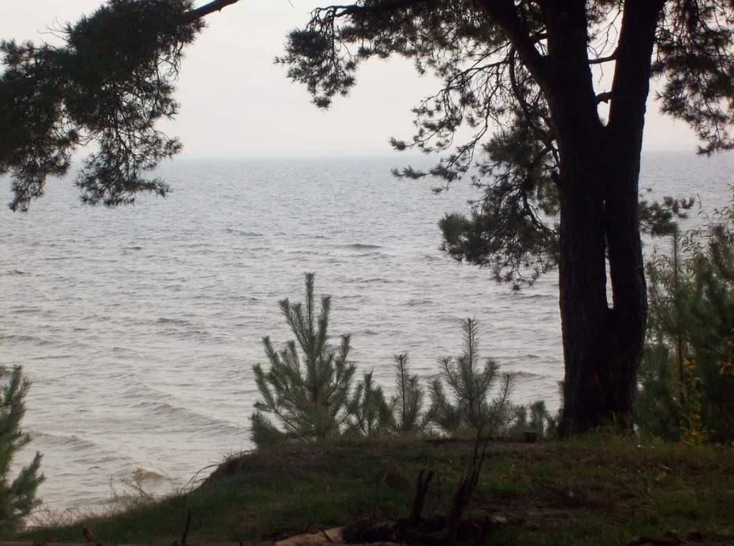 Вишгородський р-н, Ясногородка,  6 га, садівництво, Київське море.
