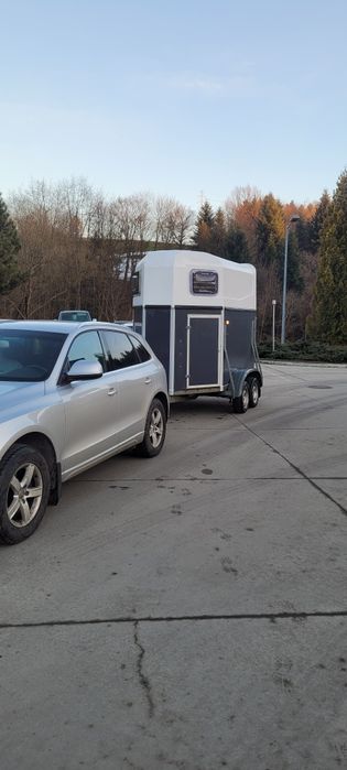 Wynajem przyczepy konnej kategaria B, transport koni, bydła