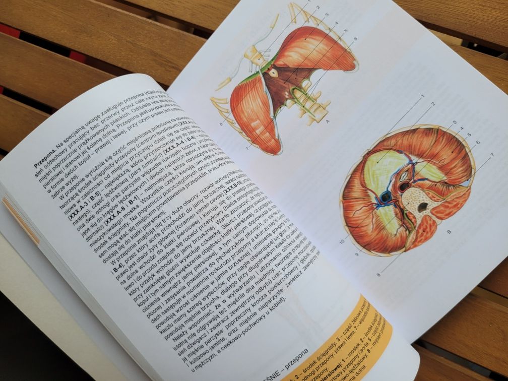 Mały atlas anatomiczny, Aleksandrowicz, Ciszek