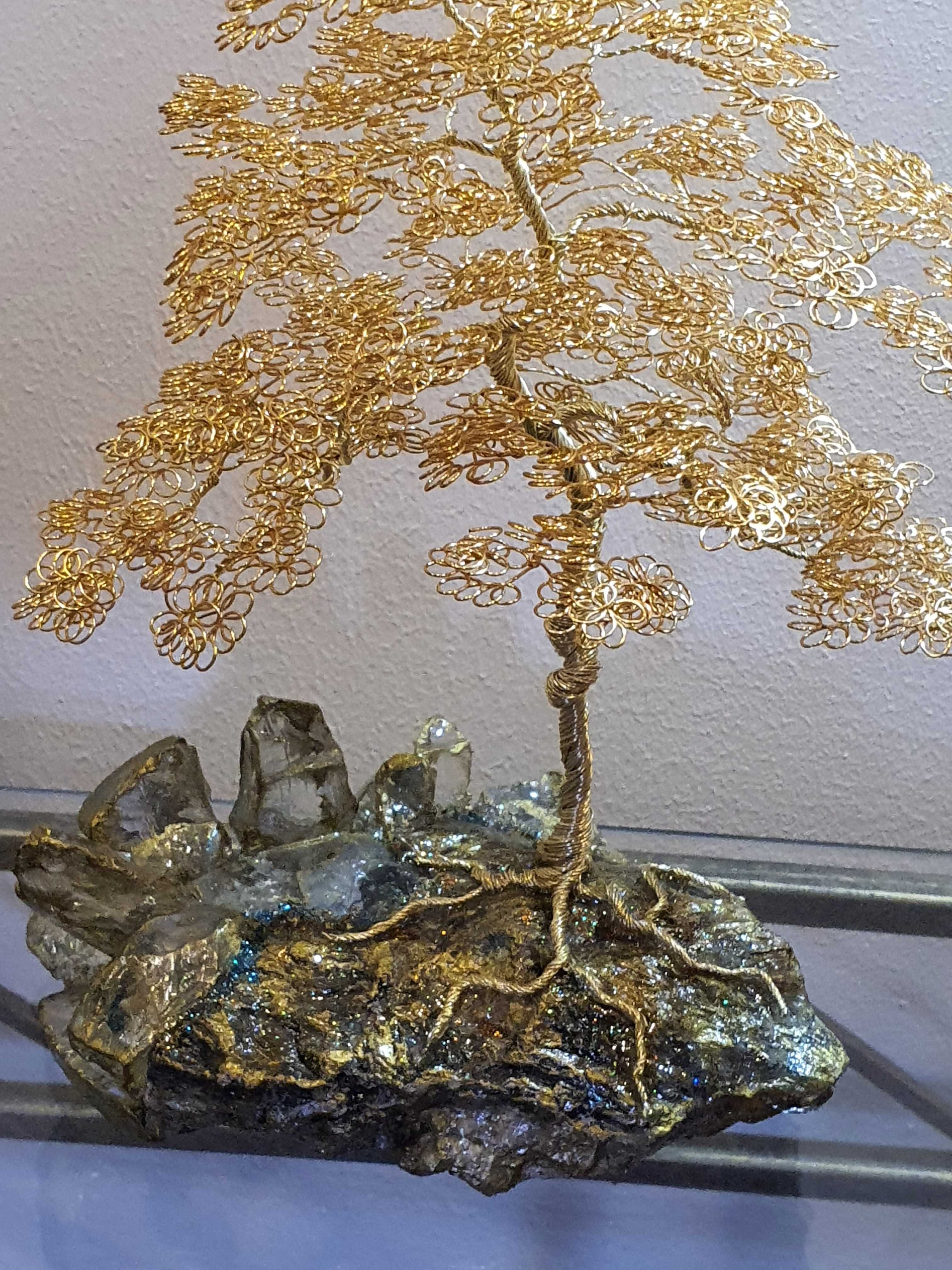 Drzewko szczęścia, bonsai