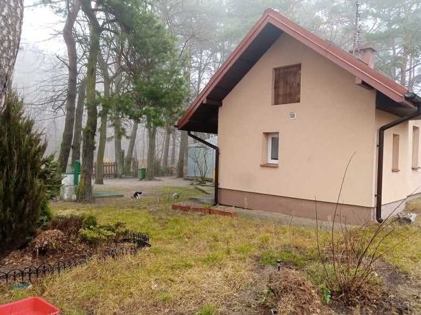 Mam do wynajecia dom wolnostojacy okolice Wolomina (od czerwca)