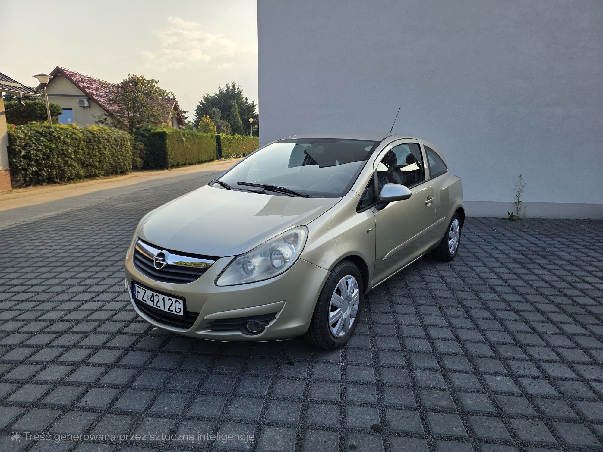 Opel Corsa D 2008r 1.0 60KM opłaty na rok