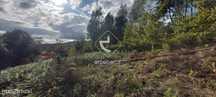 Terreno c/viabilidade construtiva 2950m2 - Ponte de Lima/Refoios