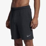 Мужские Серые Шорты Nike Dri-Fit Оригинал Идеал S