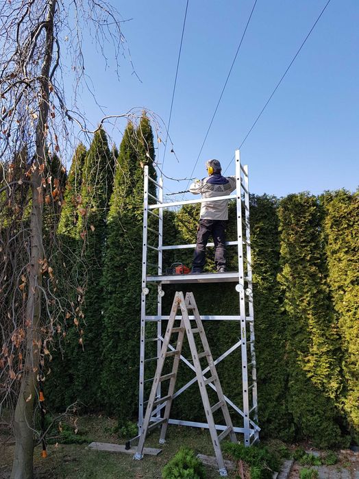 Wycinka drzew, rębak, frezowanie pni. Żywopłoty. Usługi ogrodnicze.