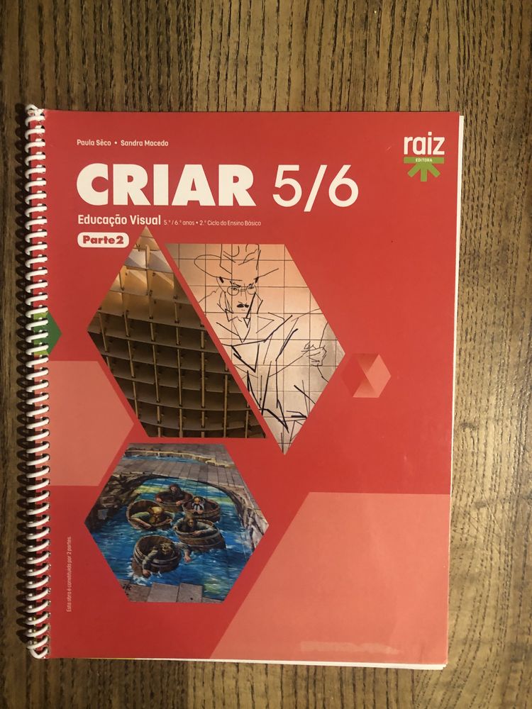 Manual Ed. Visual 5ano - Criar 5/6