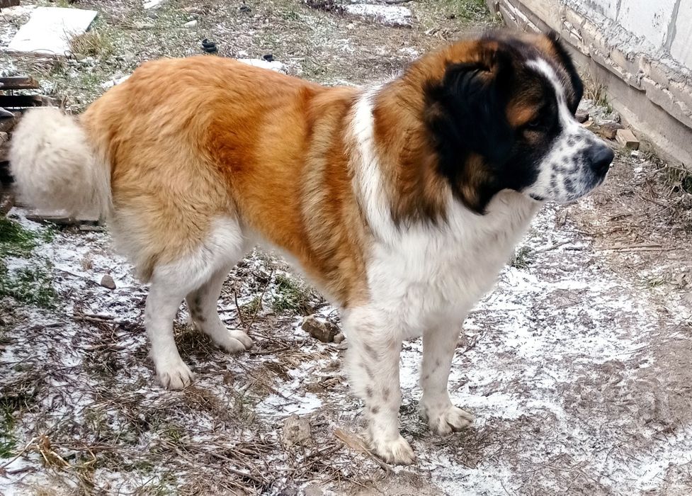 Запрошуємо на в'язку