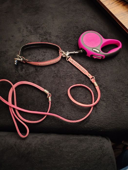 Jak nowa obroża, smycz dla małego psa