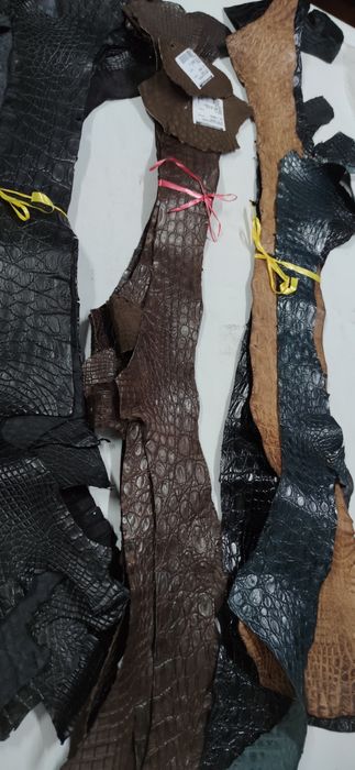 Шкіра Нильського крокодила Кожа натурального крокодила 600 грн