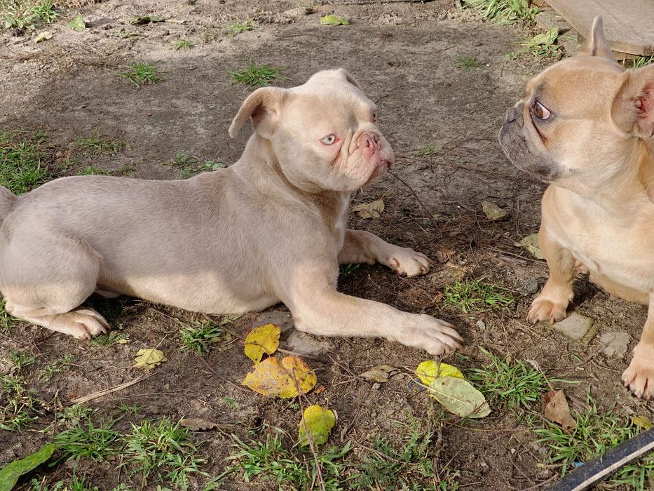 Очень красивый подросток мальчик