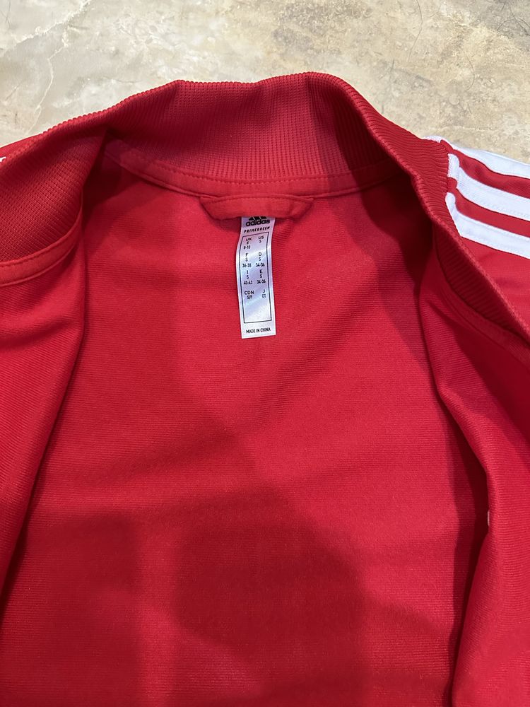 Спортивна кофта adidas essentials 3-stripes red track suit h10157