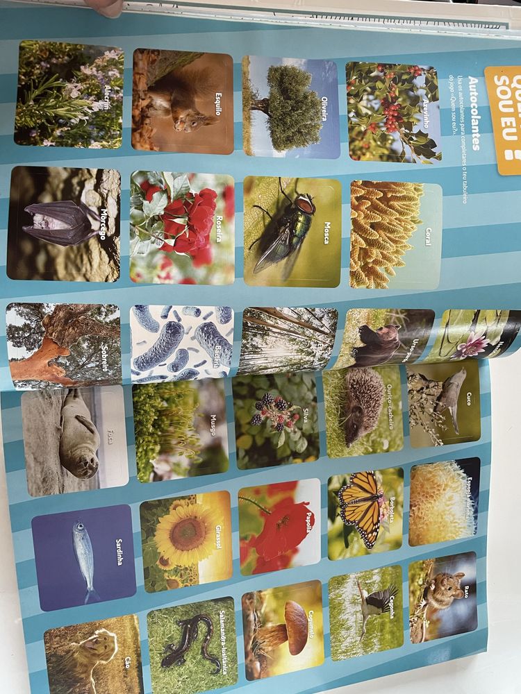Caderno de atividades Ciências Naturais 5º ano