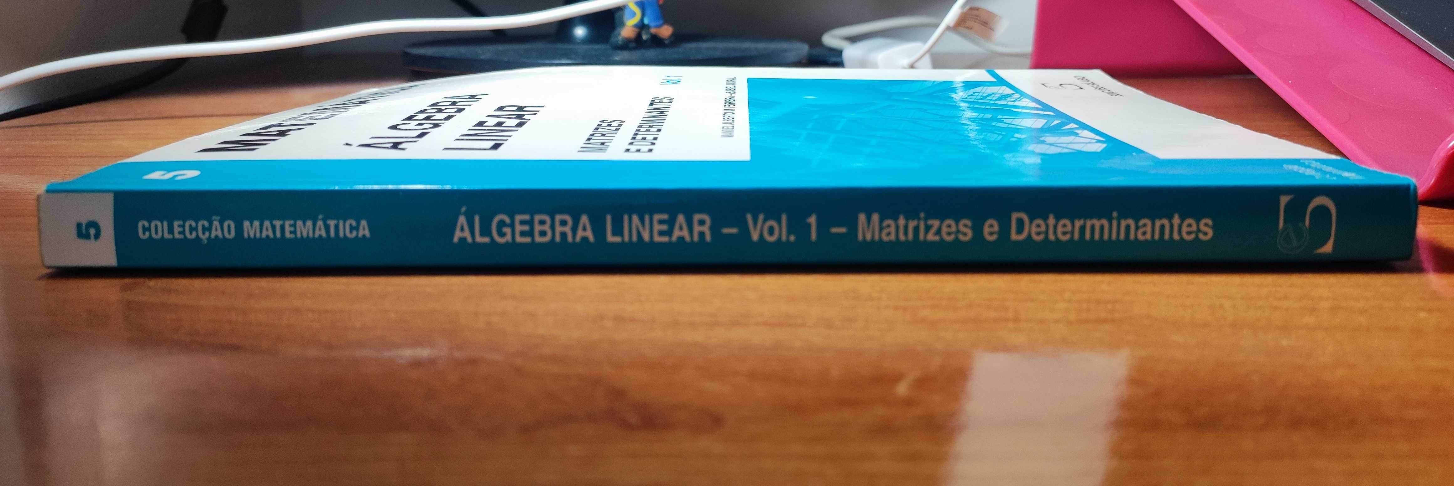 Livro | Álgebra Linear - Matrizes e determinantes (vol. 1)
