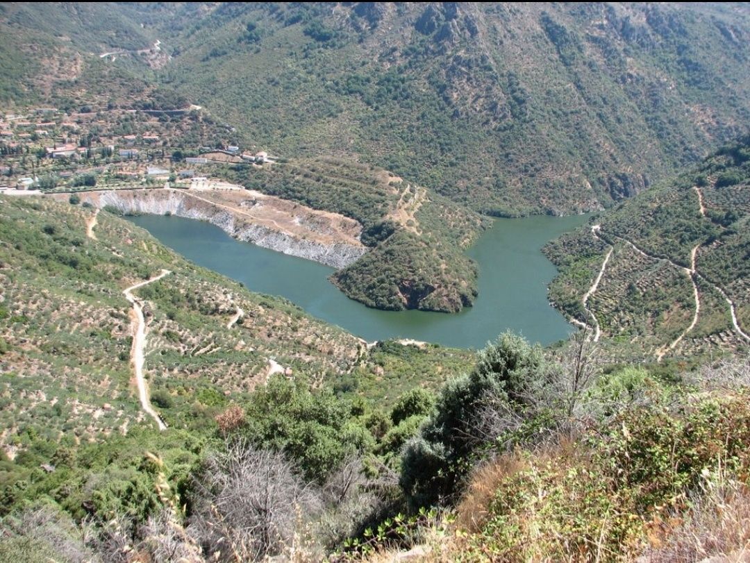 Moradia T2 em Lagoaça p/recuperar.