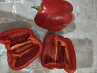 Семена томата и перца
