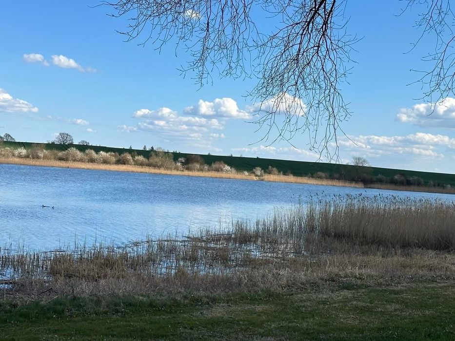 Sprzedam działkę budowlaną 7333m2 z linią brzegową nad jeziorem