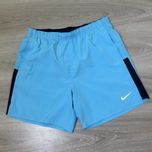 Спортивні Шорти Nike